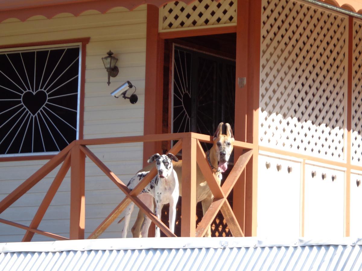 Sueño Grande B&B Puerto Viejo de Talamanca Exterior foto